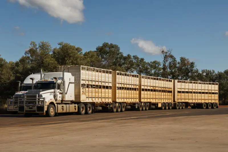 Semi-road train transport